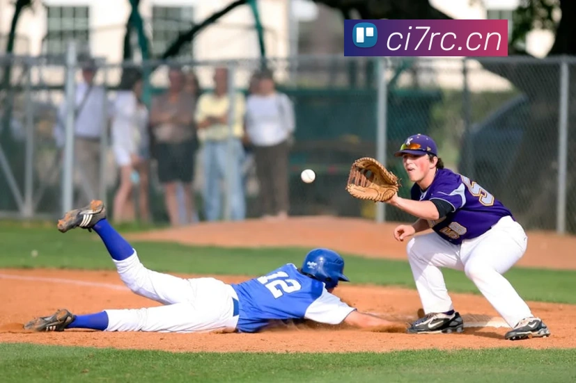 云顶集团官网登录入口平台生态图